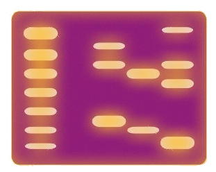 Εικόνα επιλογής